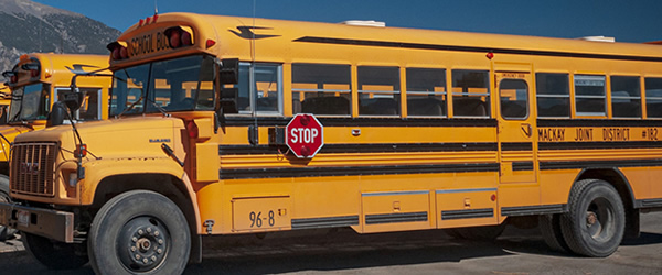Photo of school buses.